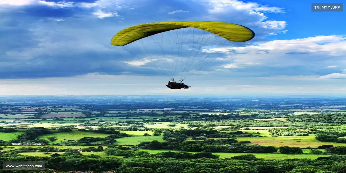 安博体育网页版——凤舞九天，笑傲群芳！🏁